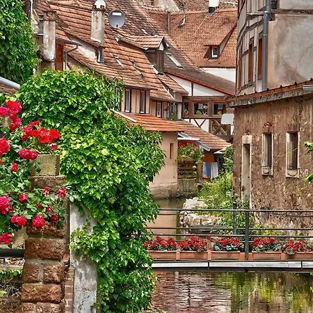Ferienwohnung Suedpfalz Am Elsass Appartement